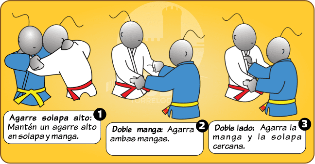 Tipos de agarre en judo